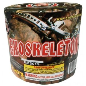Exoskeleton