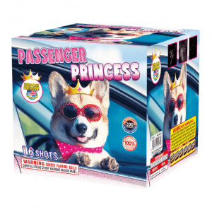 Passenger Princess