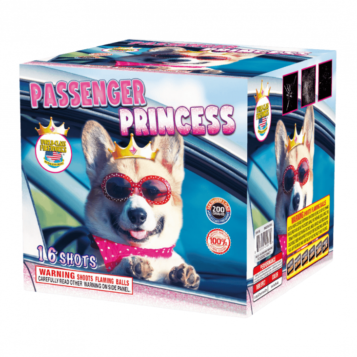 PASSENGER PRINCESS